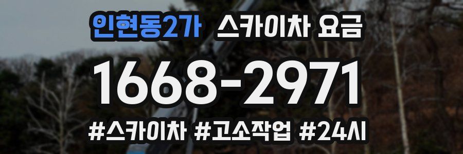 인현동2가 스카이차 요금