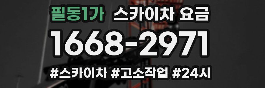 필동1가 스카이차 요금