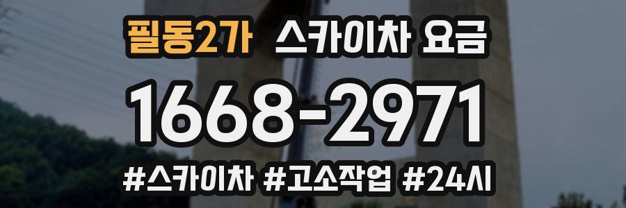 필동2가 스카이차 요금