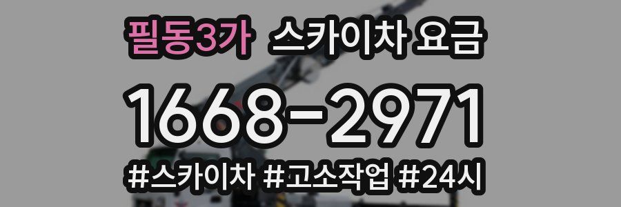 필동3가 스카이차 요금