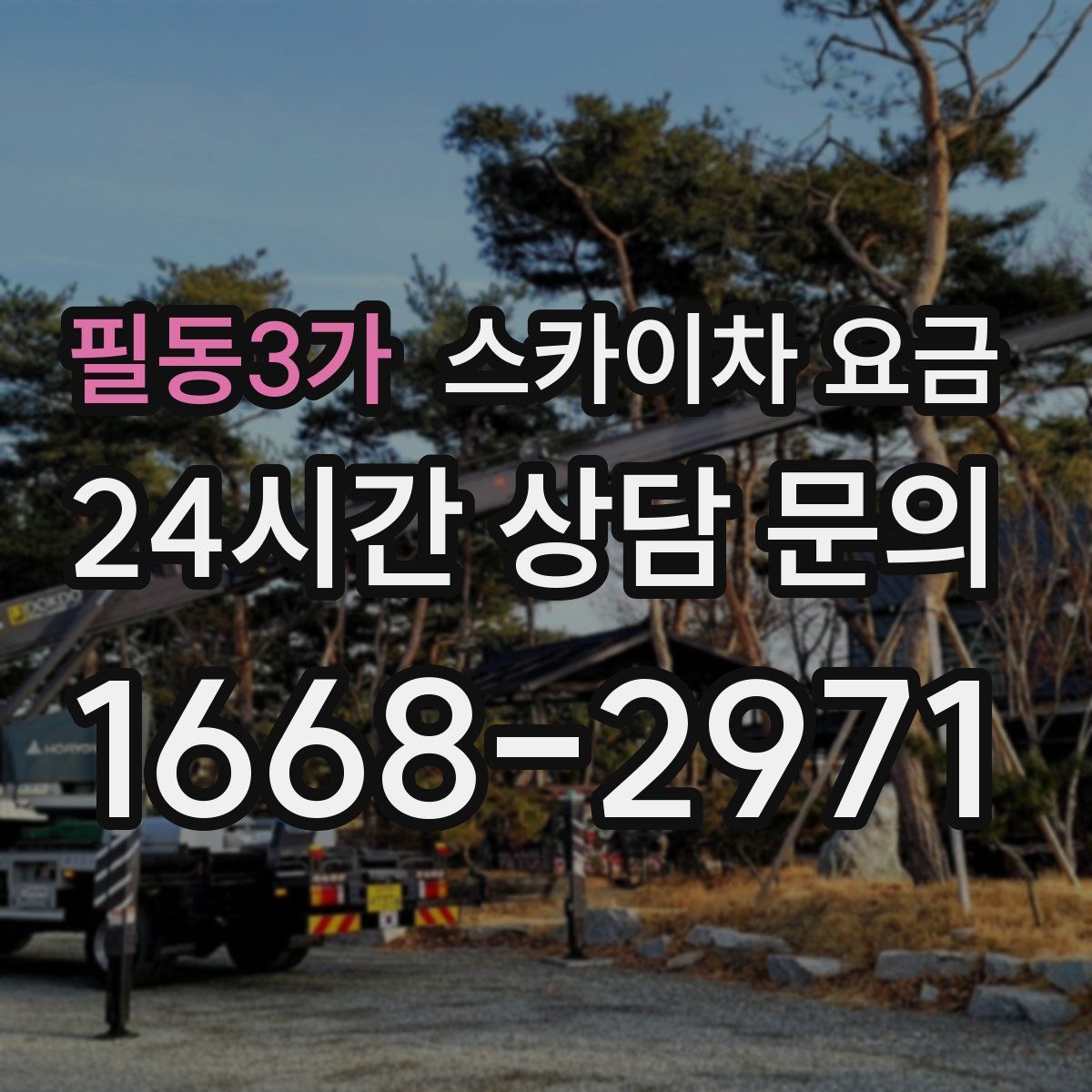 필동3가 스카이차 요금