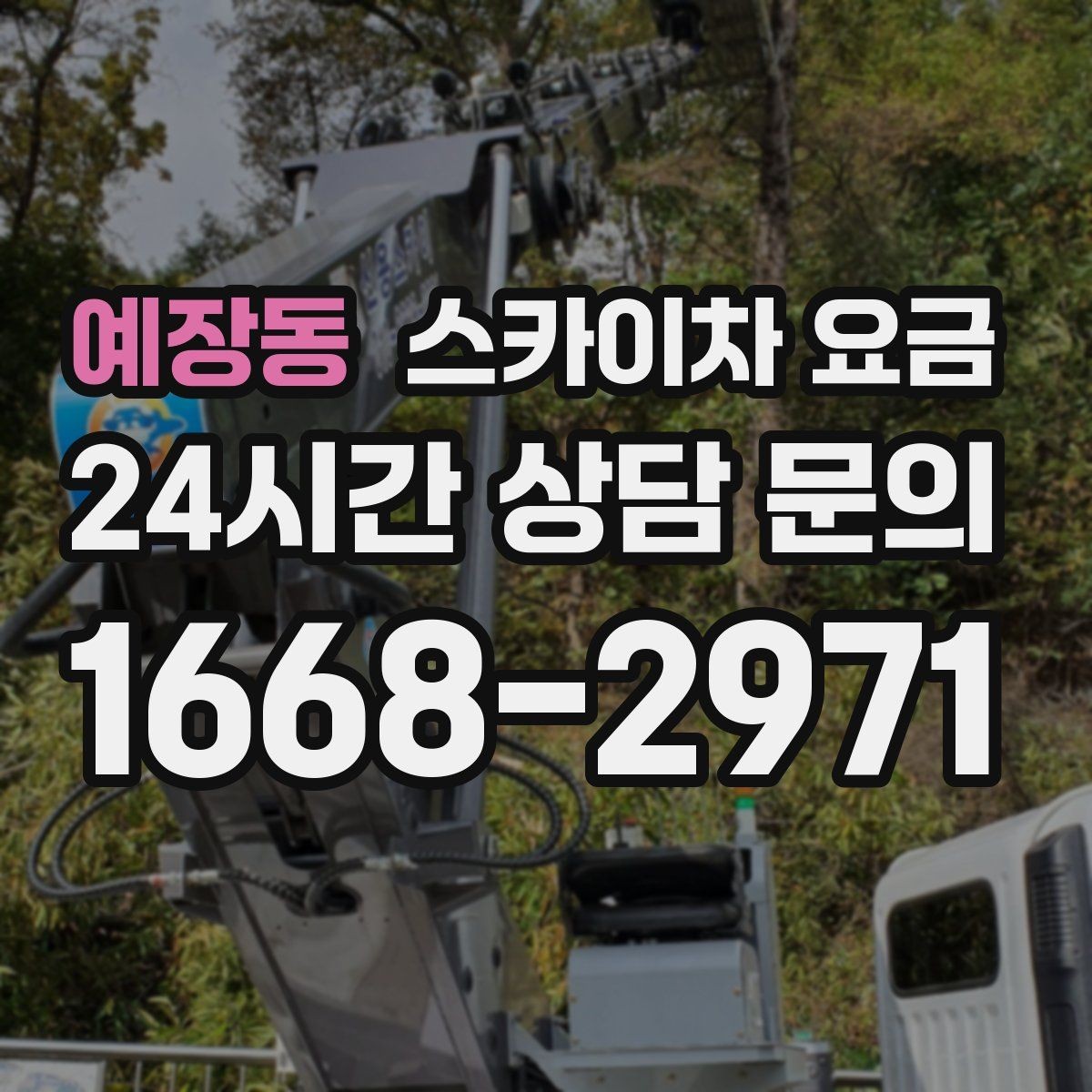 예장동 스카이차 요금 문의 전에 이것만 정리해도 충분합니다