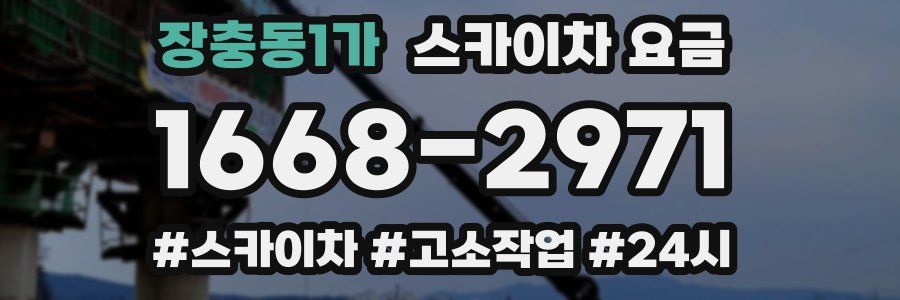 장충동1가 스카이차 요금