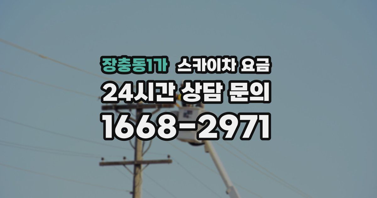 장충동1가 스카이차 요금