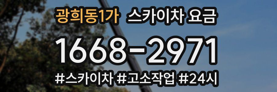광희동1가 스카이차 요금