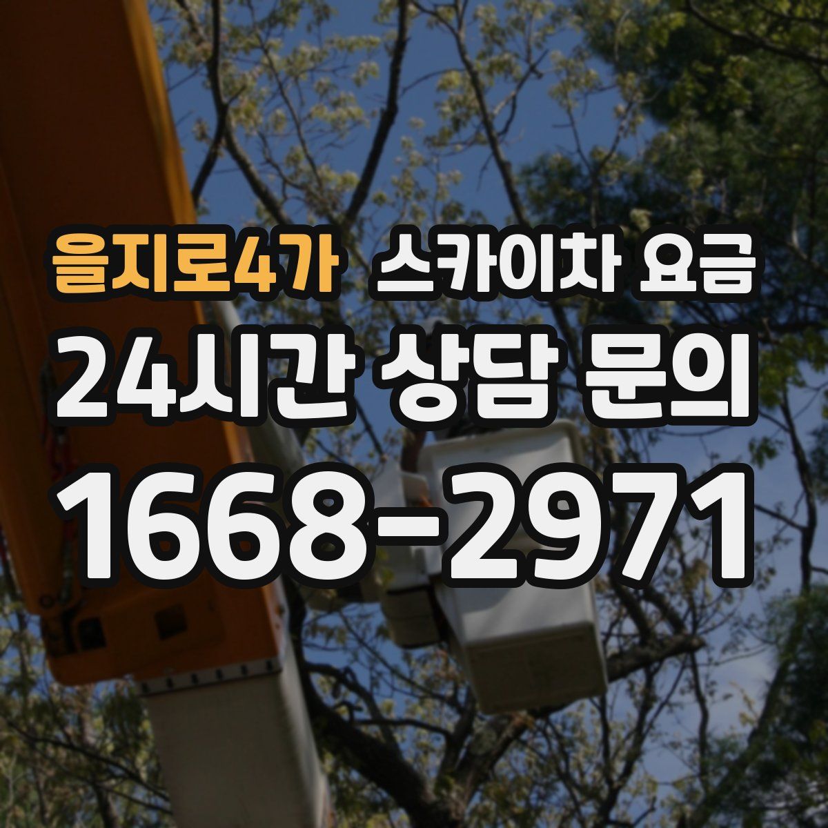 을지로4가 스카이차 요금