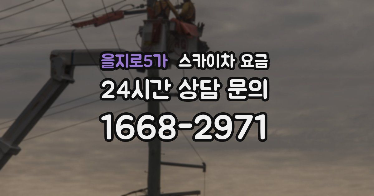 을지로5가 스카이차 요금
