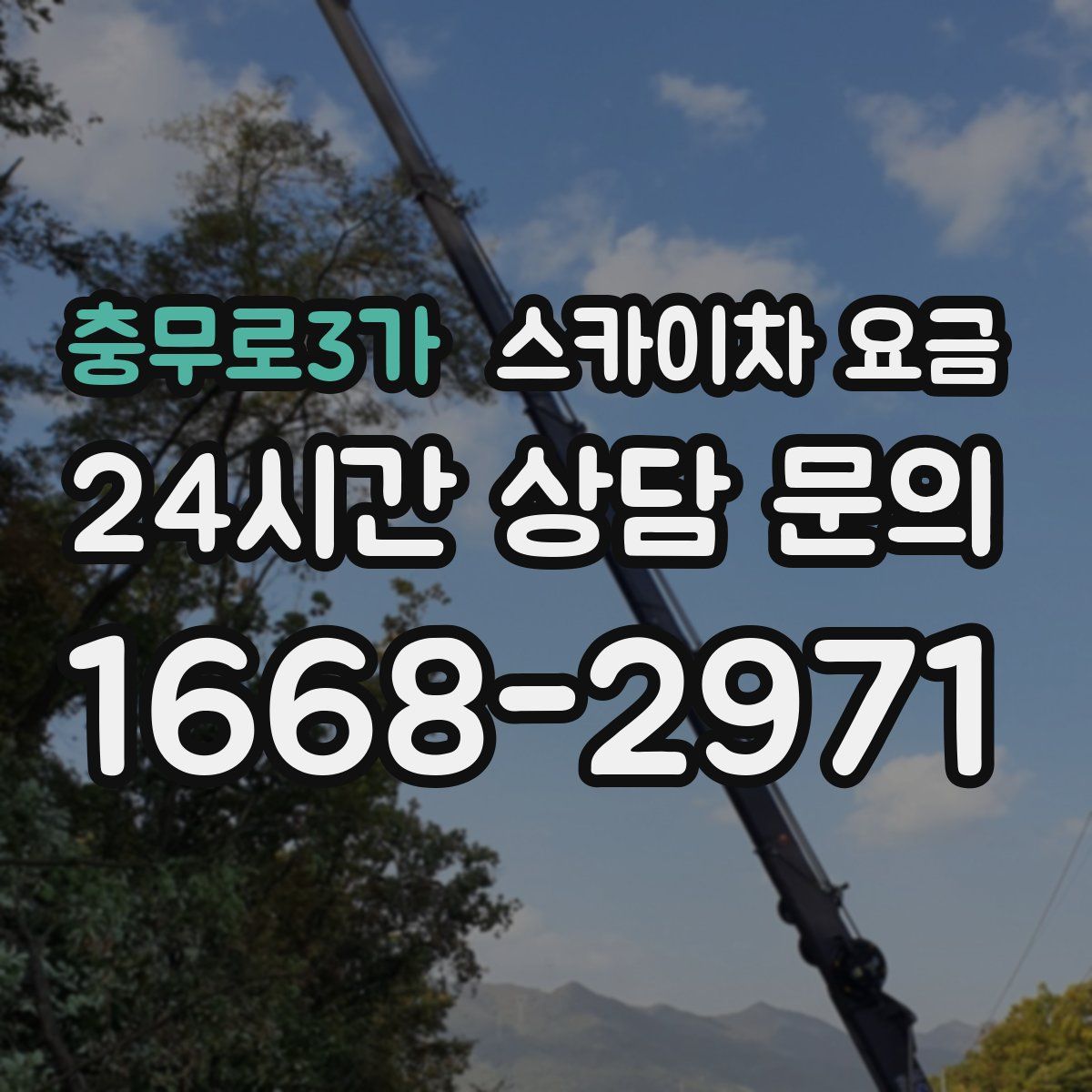 충무로3가 스카이차 요금