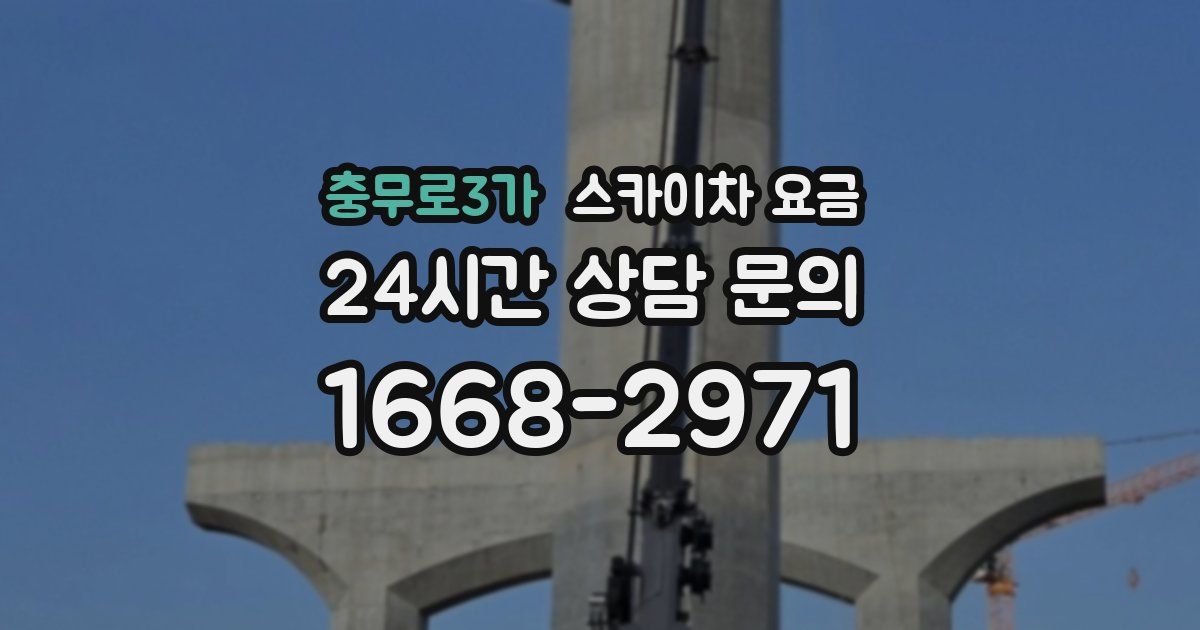 충무로3가 스카이차 요금