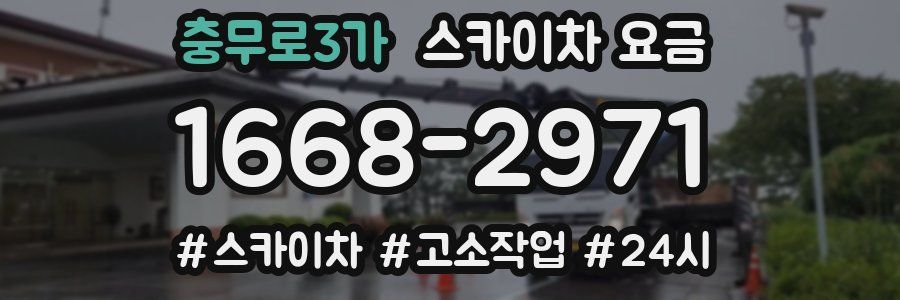 충무로3가 스카이차 요금