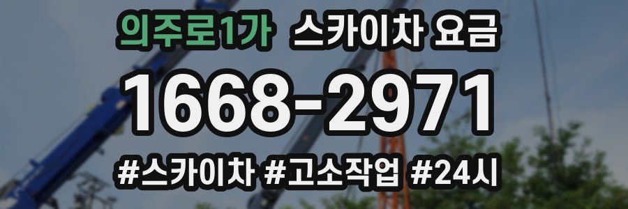 의주로1가 스카이차 요금