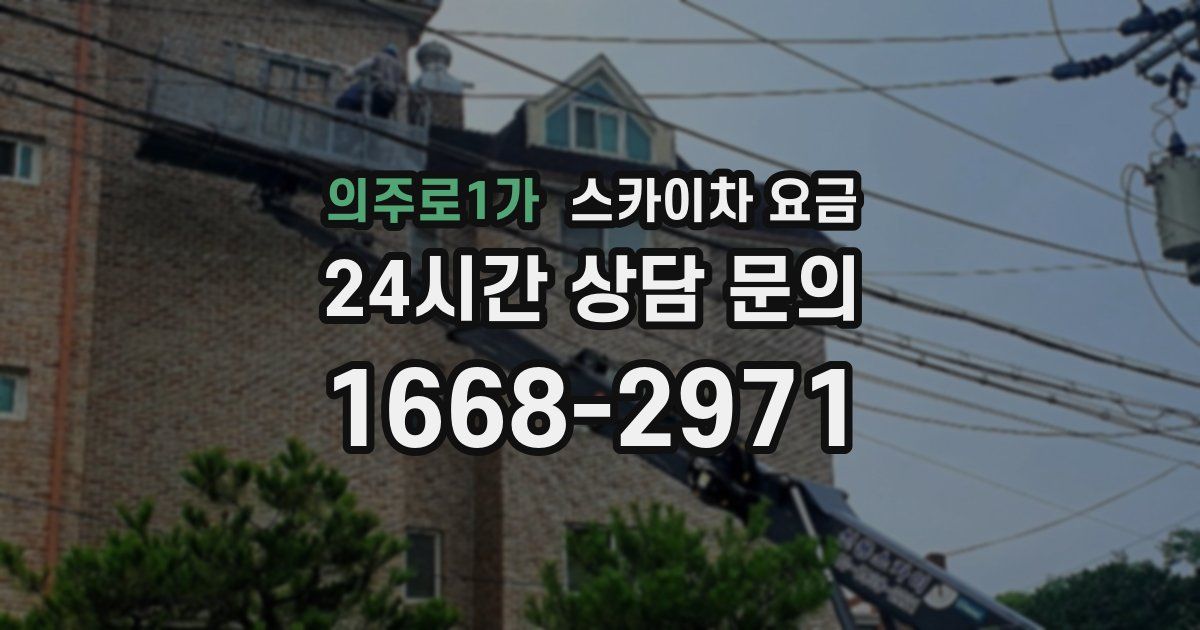 의주로1가 스카이차 요금