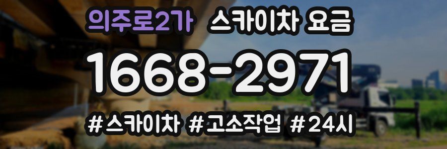 의주로2가 스카이차 요금