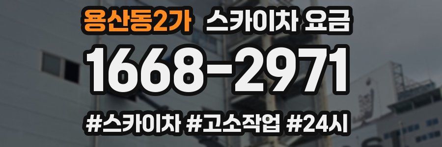 용산동2가 스카이차 요금