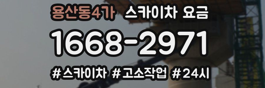 용산동4가 스카이차 요금
