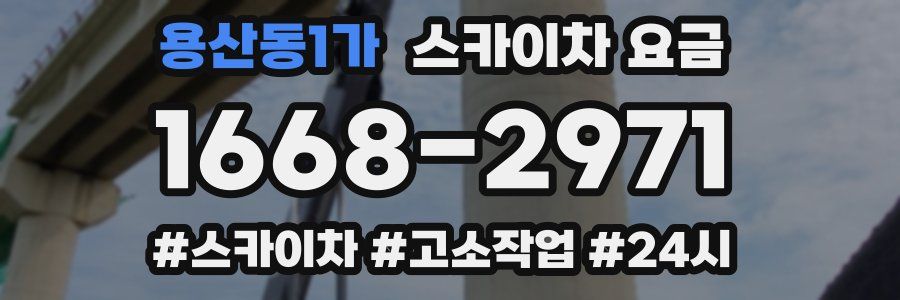 용산동1가 스카이차 요금