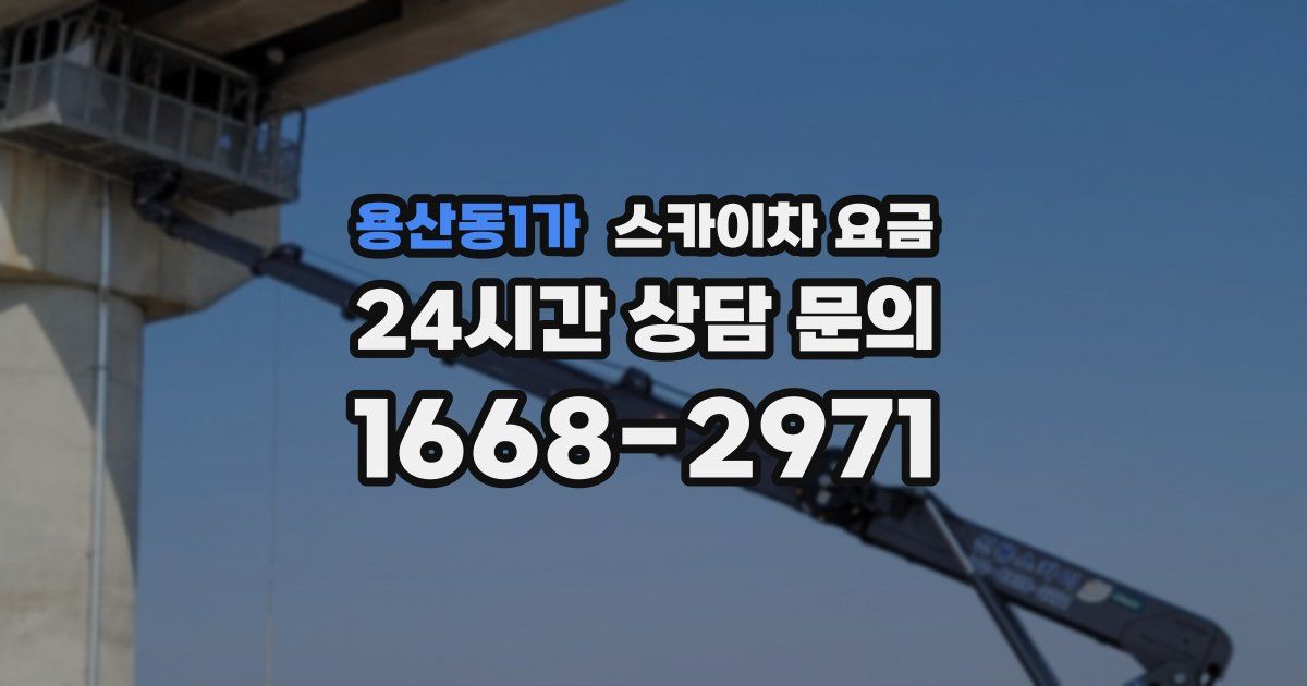 용산동1가 스카이차 요금