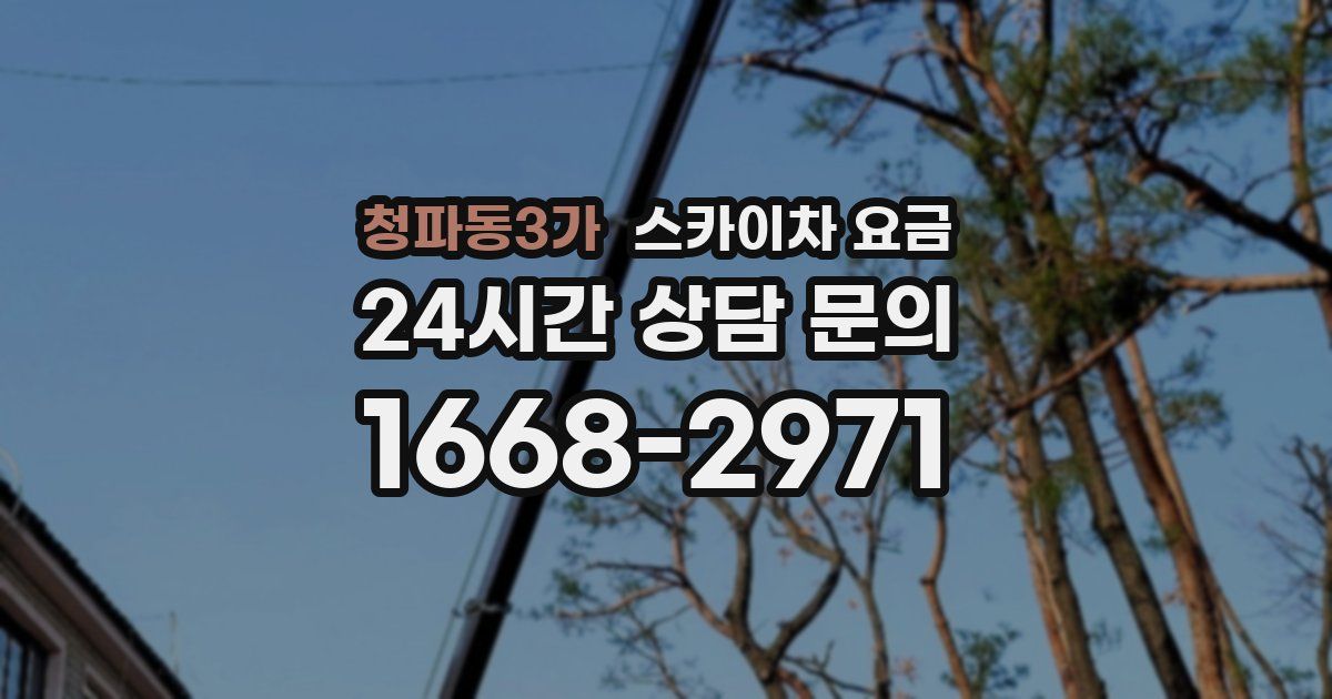 청파동3가 스카이차 요금