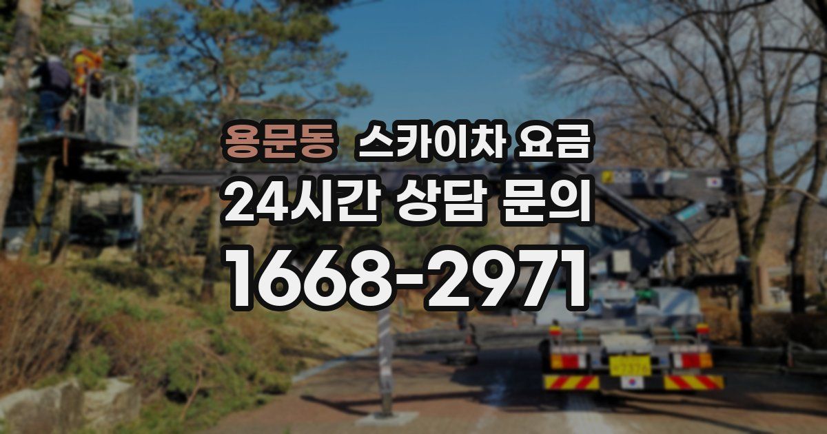용문동 스카이차 요금