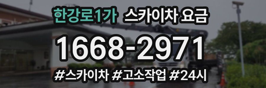 한강로1가 스카이차 요금