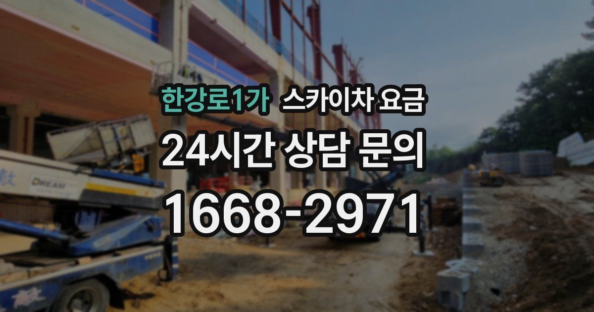 한강로1가 스카이차 요금