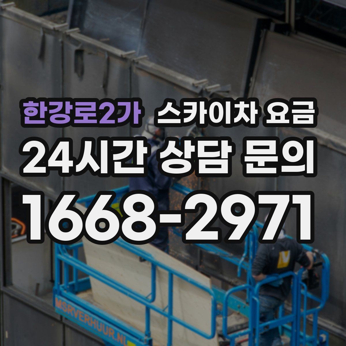 한강로2가 스카이차 요금 나무 전지 작업은 가지 위치가 변수가 됩니다