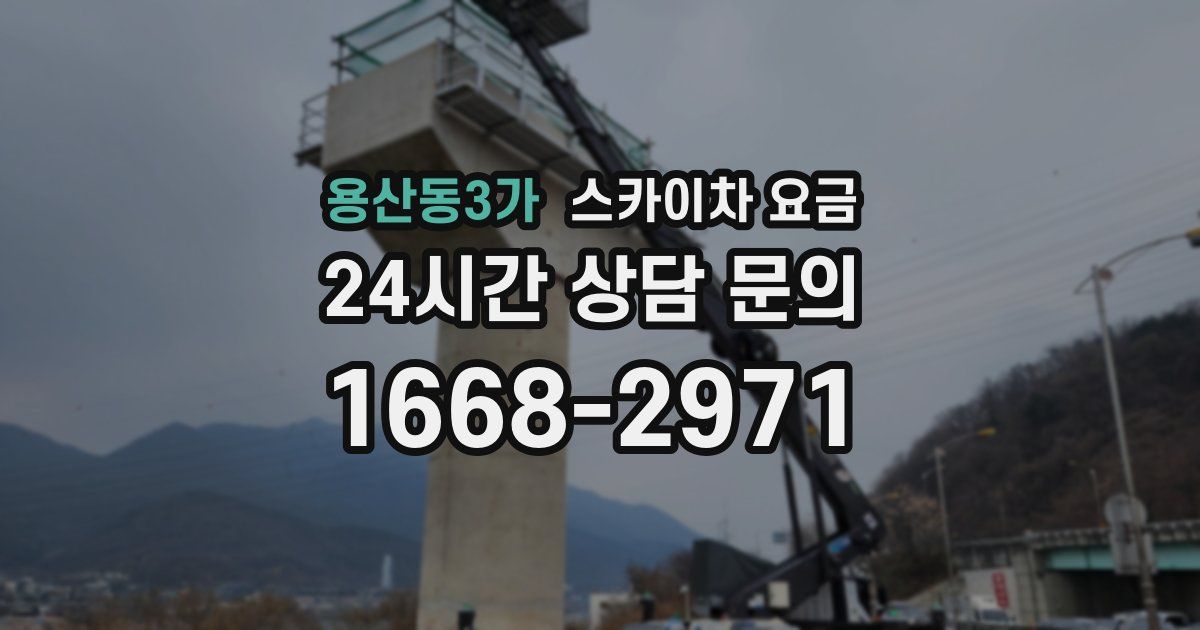 용산동3가 스카이차 요금