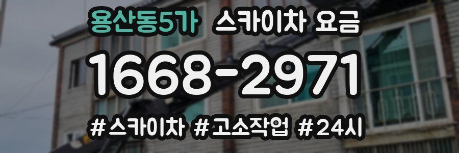 용산동5가 스카이차 요금