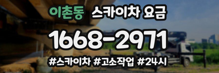 이촌동 스카이차 요금