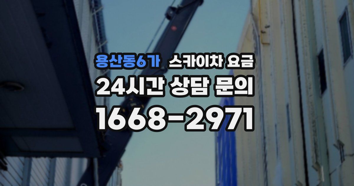 용산동6가 스카이차 요금