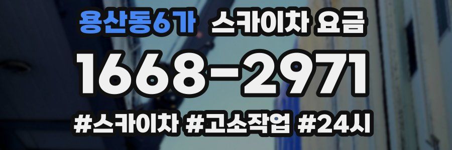 용산동6가 스카이차 요금