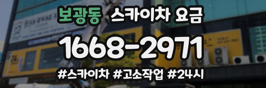 보광동 스카이차 요금