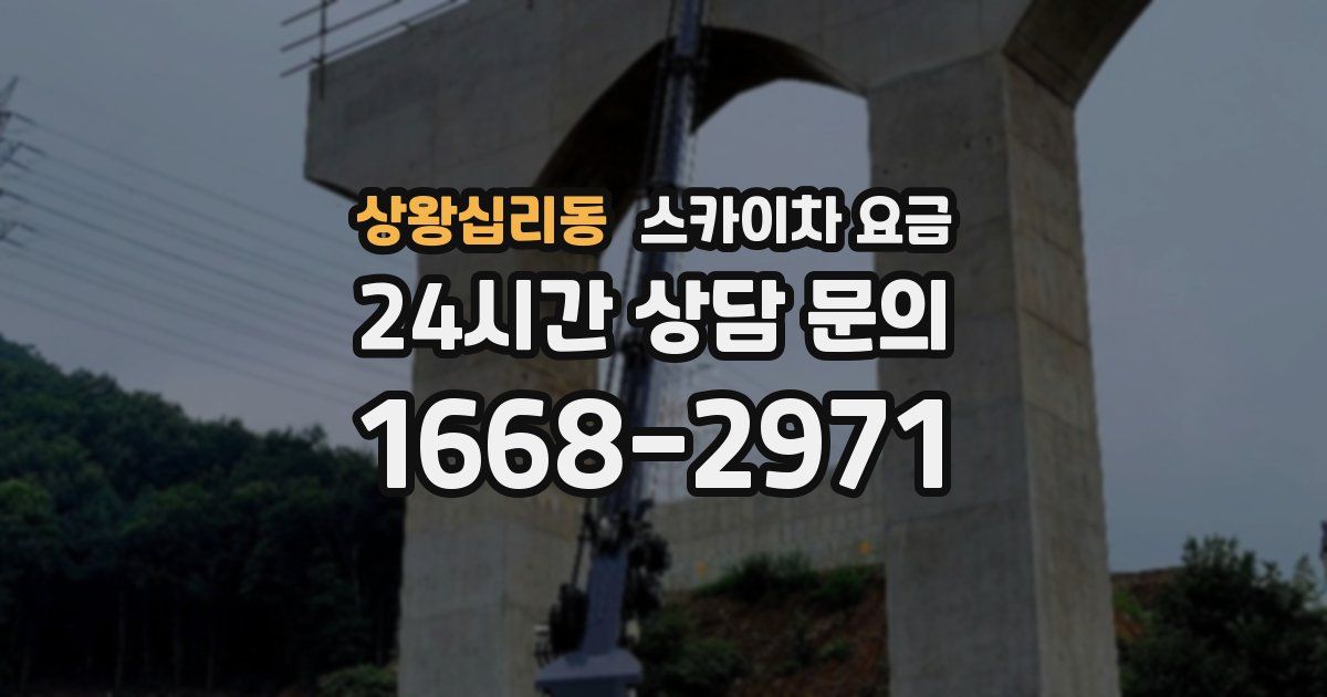 상왕십리동 스카이차 요금