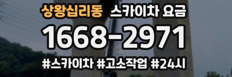 상왕십리동 스카이차 요금