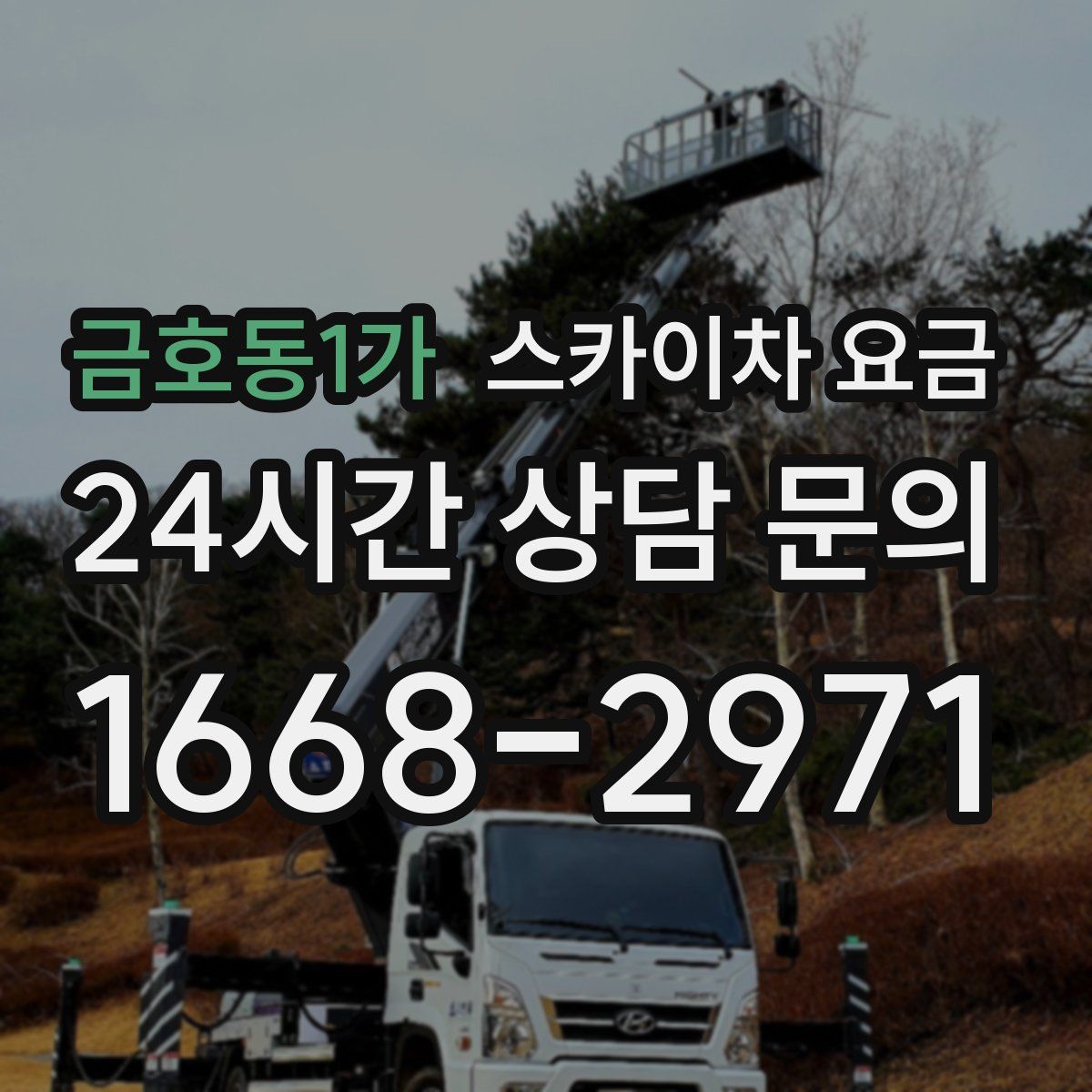 금호동1가 스카이차 요금