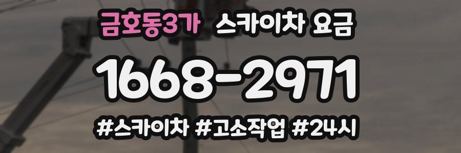 금호동3가 스카이차 요금