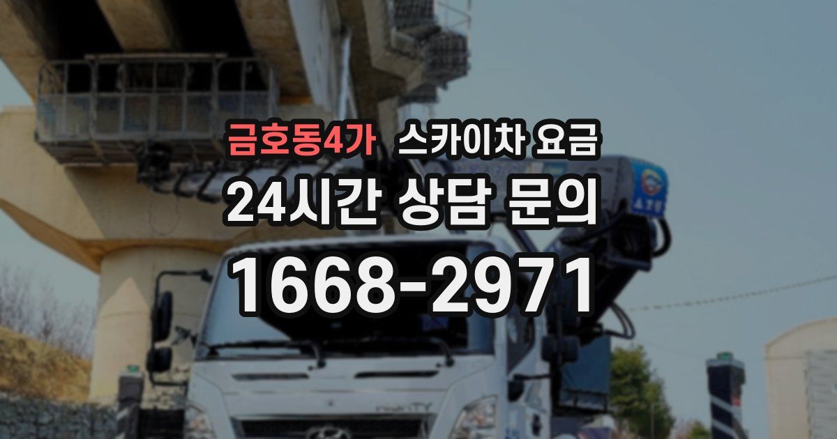 금호동4가 스카이차 요금