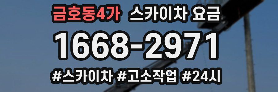 금호동4가 스카이차 요금