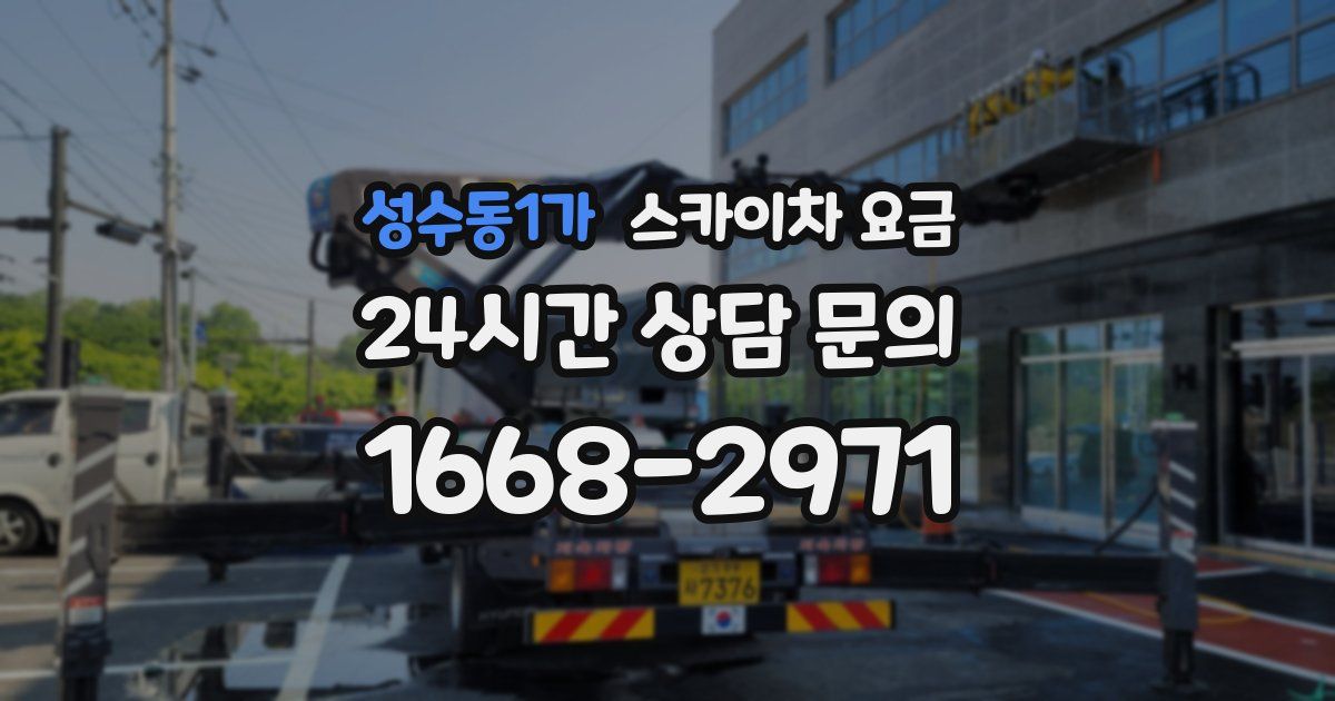 성수동1가 스카이차 요금