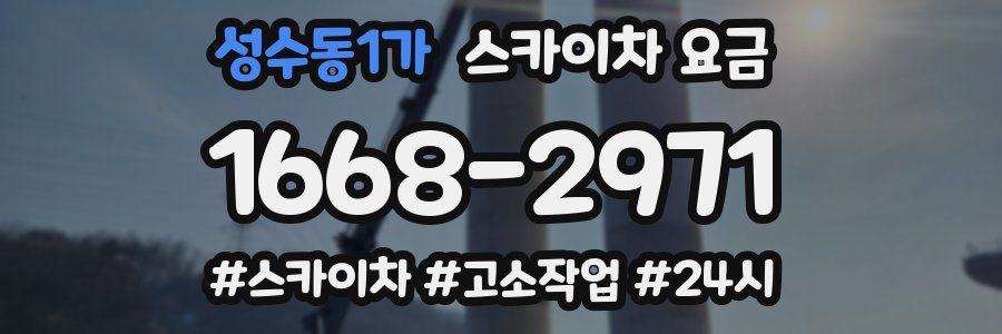 성수동1가 스카이차 요금