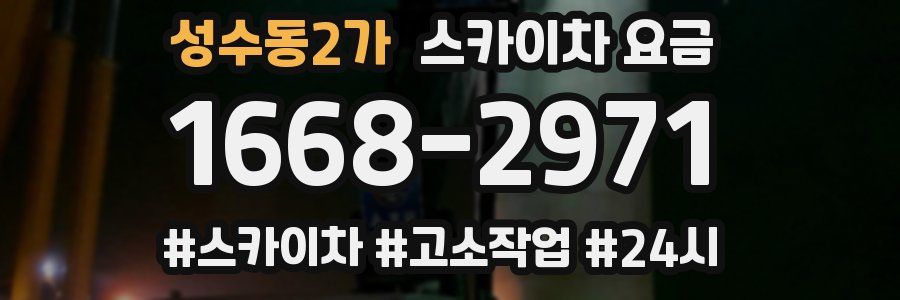 성수동2가 스카이차 요금