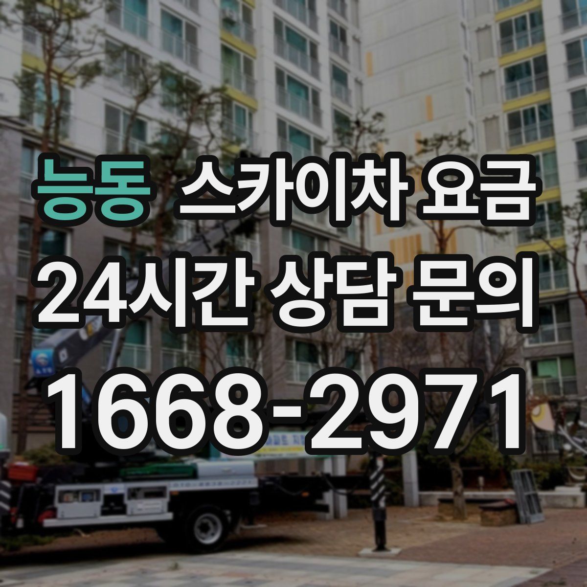 능동 스카이차 요금