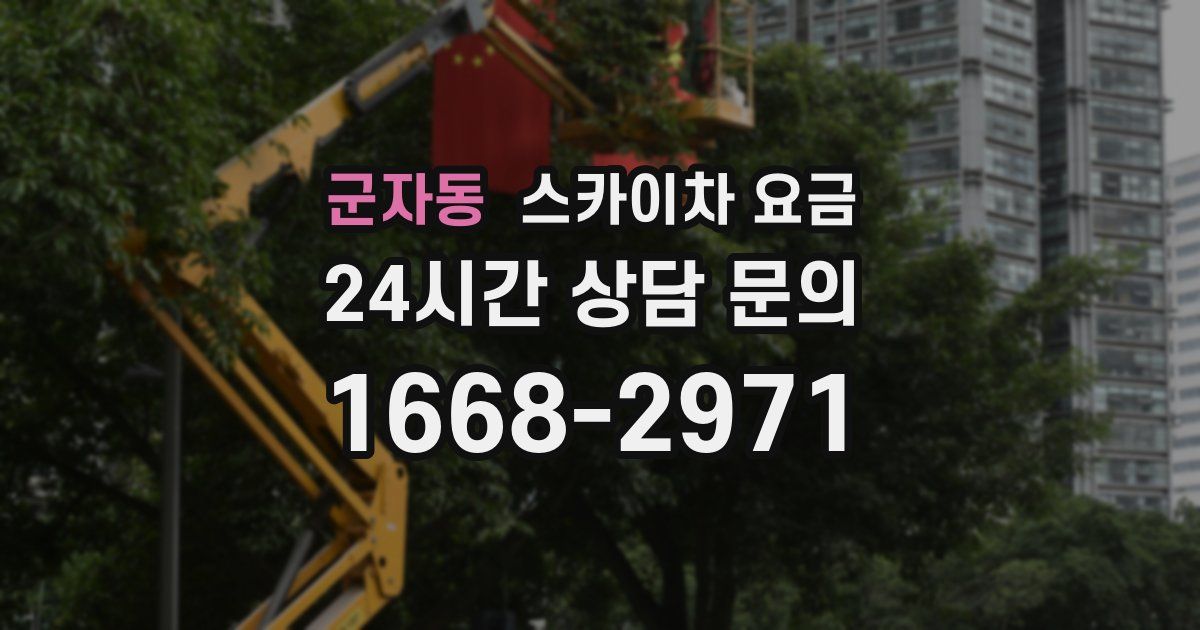 군자동 스카이차 요금