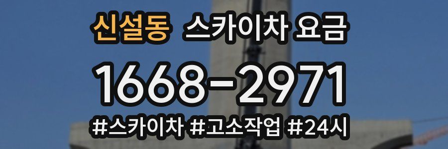 신설동 스카이차 요금