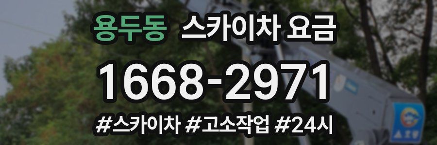 용두동 스카이차 요금