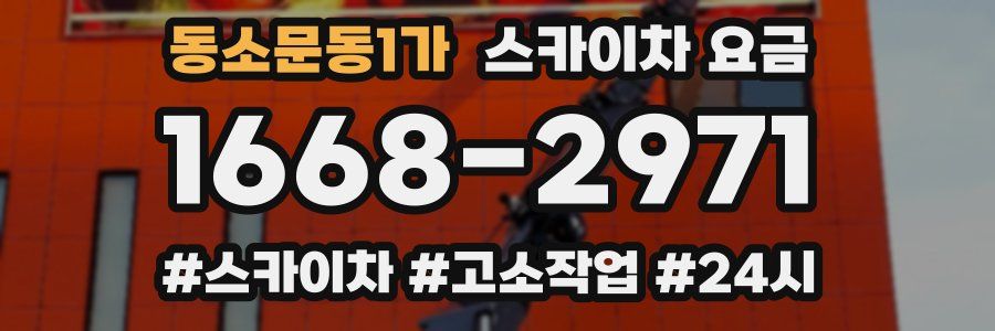 동소문동1가 스카이차 요금