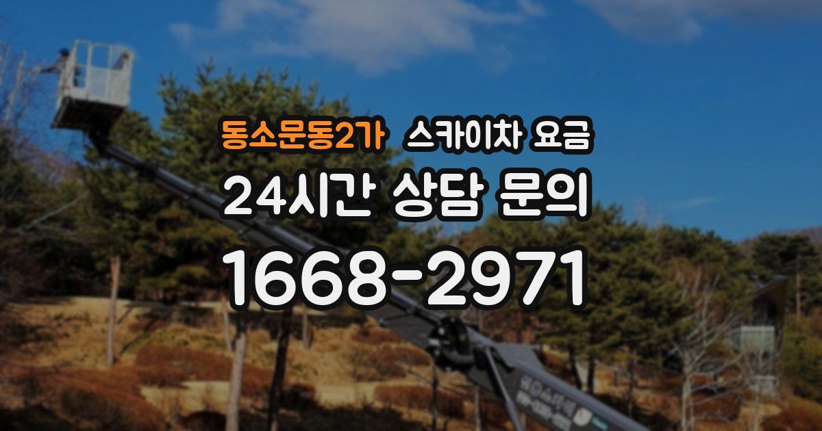 동소문동2가 스카이차 요금