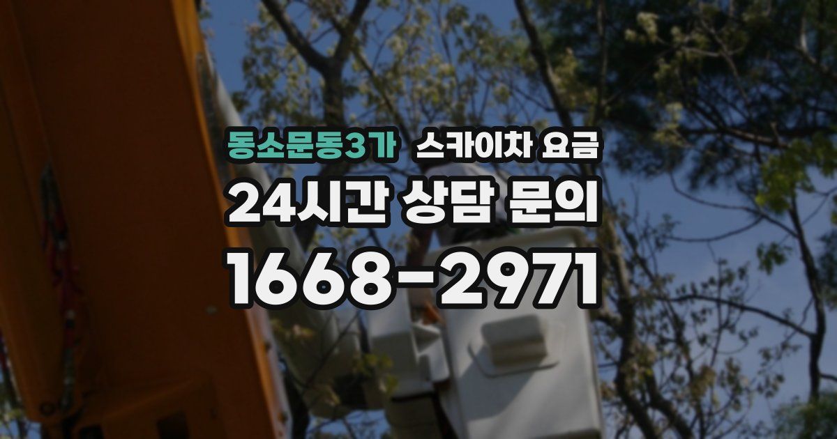 동소문동3가 스카이차 요금