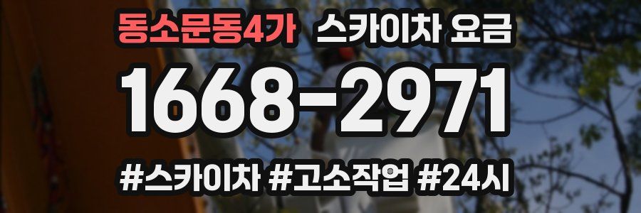 동소문동4가 스카이차 요금