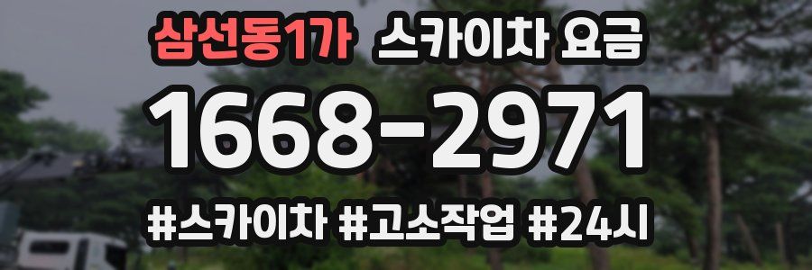 삼선동1가 스카이차 요금